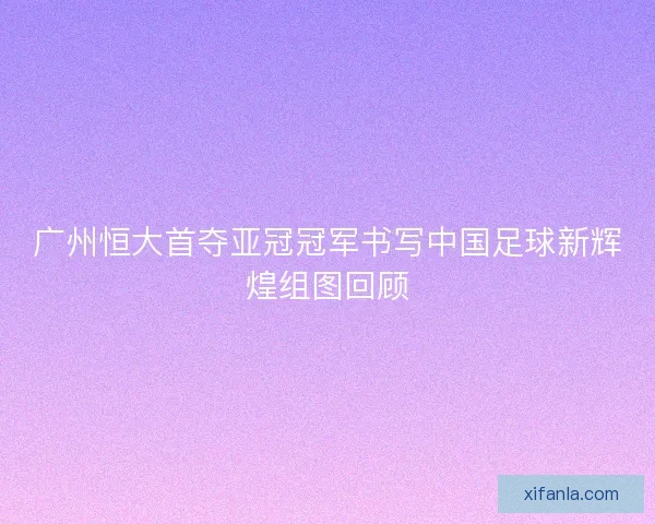 广州恒大首夺亚冠冠军书写中国足球新辉煌组图回顾