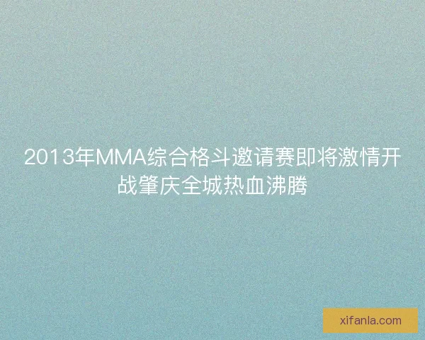 2013年MMA综合格斗邀请赛即将激情开战肇庆全城热血沸腾